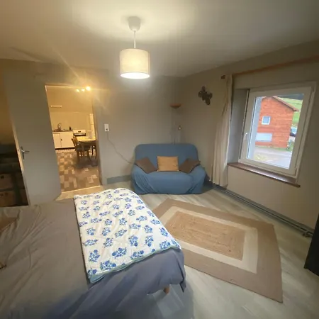Le Gite Du Chat Gru Saulxures-sur-Moselotte Extérieur photo