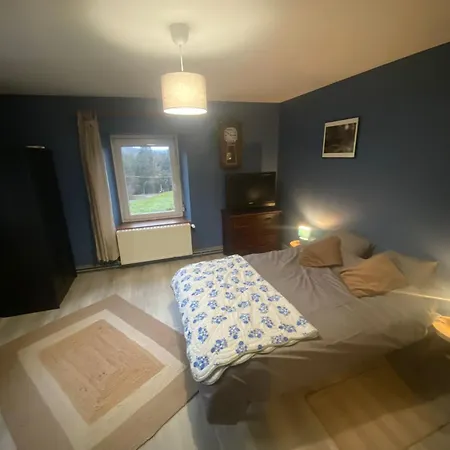 Le Gite Du Chat Gru Saulxures-sur-Moselotte Extérieur photo