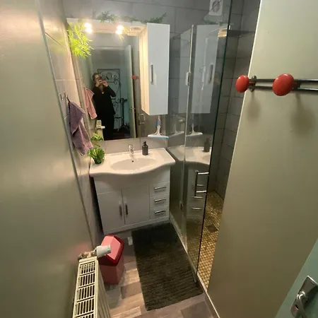 Le Gite Du Chat Gru Saulxures-sur-Moselotte Extérieur photo